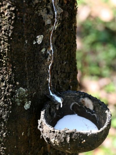 റബർവില കുതിക്കുന്നു, ലാഭം കൊയ്യാൻ വഴിയുണ്ട്