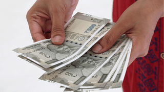 Indoor Plants Business: ചെടി വളർത്തി പണമുണ്ടാക്കാം; 50,000 രൂപ മുതൽ ഒരു ലക്ഷം രൂപ വരെ ഉറപ്പ്