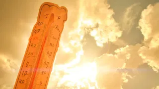 Sabarimala flagpole re-installation: സ്വർണ്ണം നാണയമായി നൽകി! ശബരിമല കൊടിമര പുന പ്രതിഷ്ഠയിൽ സംഭാവന നൽകിയെന്ന് സ്ഥിരീകരിച്ച് സിനിമാതാരങ്ങൾ