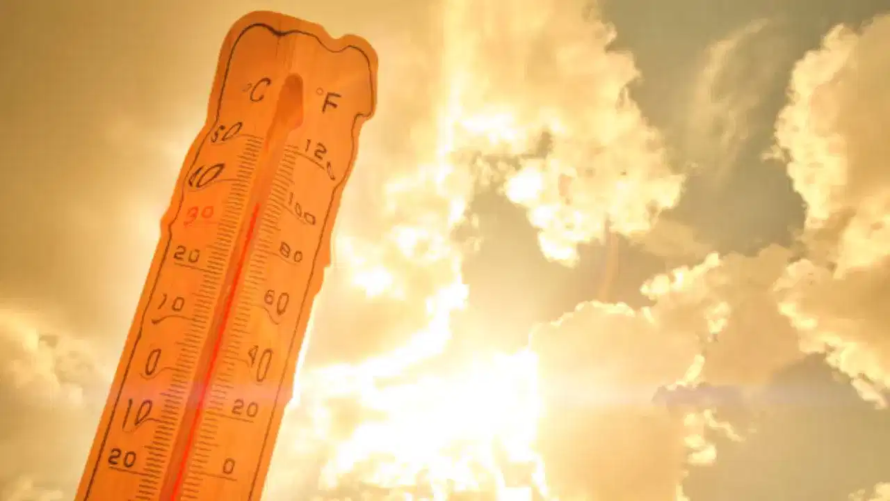 Kerala UV Alert: ചൂടിനൊപ്പം പേടിക്കണം അൾട്രാവയലറ്റ് വികിരണത്തേയും, ഈ ജില്ലക്കാർക്ക് മുന്നറിയിപ്പ്