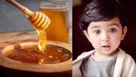 തേൻ അമൃതല്ല കുഞ്ഞുങ്ങൾക്ക് വിഷം! പഴമക്കാരുടെ ശീലം വിനയാകരുത്