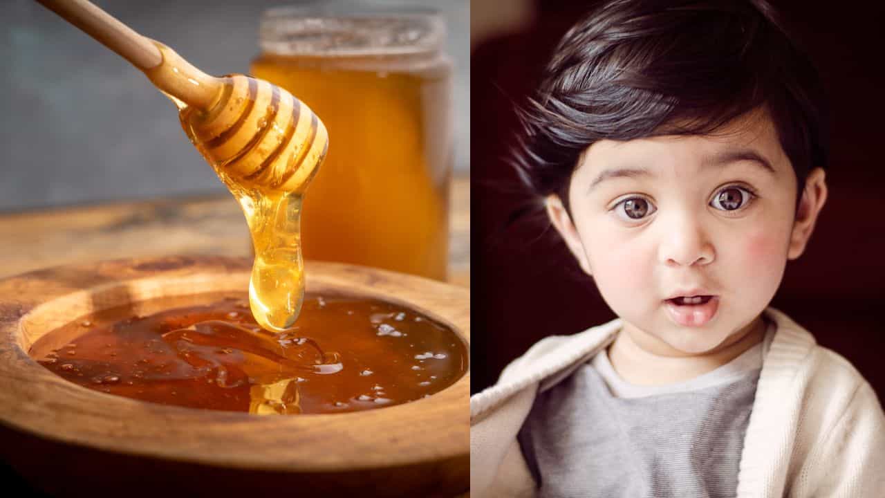 Parenting Tips: തേൻ അമൃതല്ല കുഞ്ഞുങ്ങൾക്ക് വിഷം! പഴമക്കാരുടെ ശീലം വിനയാകരുത്; മാതാപിതാക്കൾ അറിയേണ്ടത്