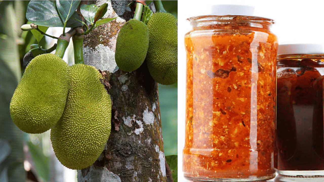 JackFruit Pickle: പച്ച ചക്ക ഉണ്ടോ? 20 മിനിറ്റിൽ അച്ചാർ റെഡി, ആരോ​ഗ്യത്തിനും ​ഗുണകരം