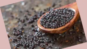 Mustard Benefits: പൊട്ടിത്തെറിക്കാനും രുചി കൂട്ടാനും മാത്രമല്ല, കടുക് കറികളിൽ ചേർക്കുന്നതിനും ഉണ്ട് ഒരു രഹസ്യം