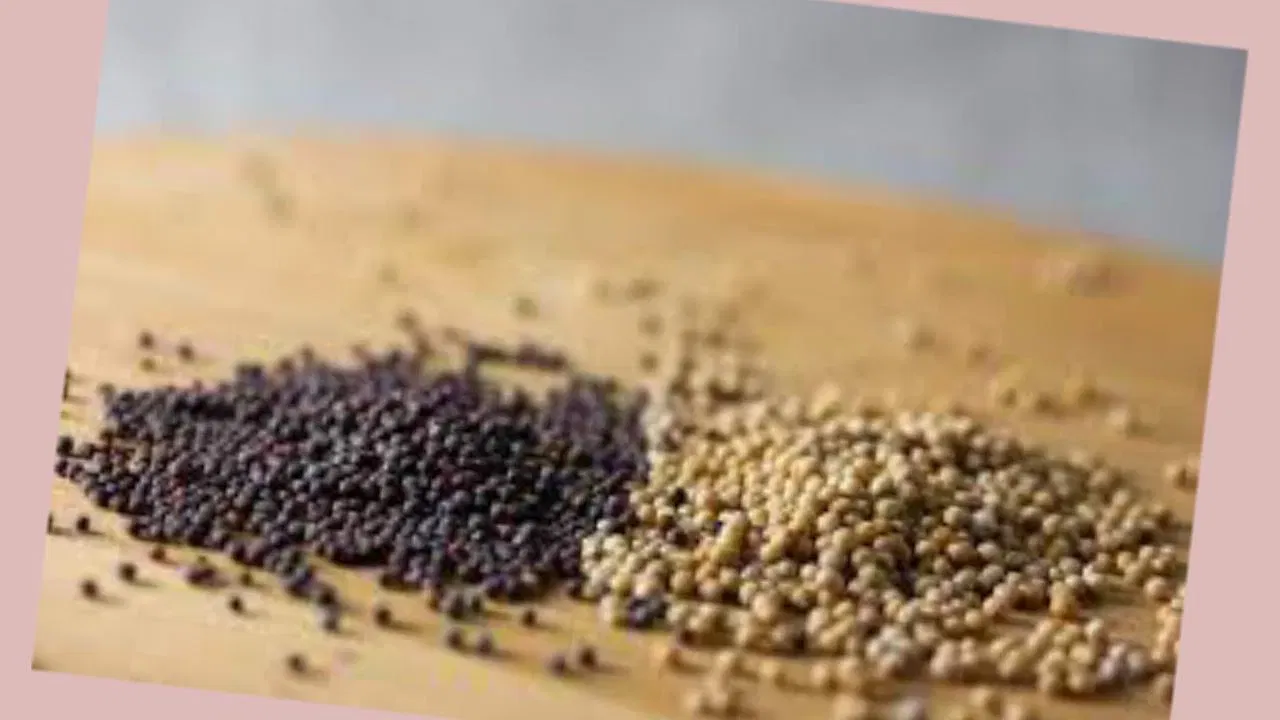 മലയാളികളുടെ അടുക്കളയിലെ ഒഴിച്ചുകൂടാനാവാത്ത സാന്നിധ്യമാണ് കടുക്. സാമ്പാർ മുതൽ ചമ്മന്തിയിൽ വരെ കടുക് താളിച്ചു ചേർക്കുന്നത് വെറുമൊരു രുചിക്കൂട്ടല്ല, മറിച്ച് അതിനു പിന്നിൽ വലിയ ആരോഗ്യ രഹസ്യങ്ങളുണ്ട്. കറികൾക്ക് സ്വാദും സുഗന്ധവും നൽകുന്നതിനൊപ്പം ദഹനപ്രക്രിയ സുഗമമാക്കാനും ശരീരത്തെ വിഷവിമുക്തമാക്കാനും കടുക് സഹായിക്കുന്നു.