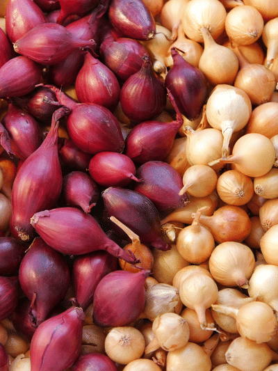 ഉള്ളി അച്ചാർ കഴിച്ചിട്ടുണ്ടോ? 10 മിനിറ്റ് മതി