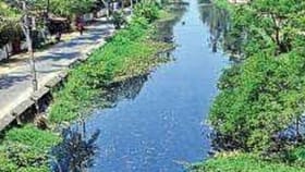 വേൾഡ് മലയാളി കൗൺസിൽ വാക്കത്തോൺ സംഘടിപ്പിച്ചു