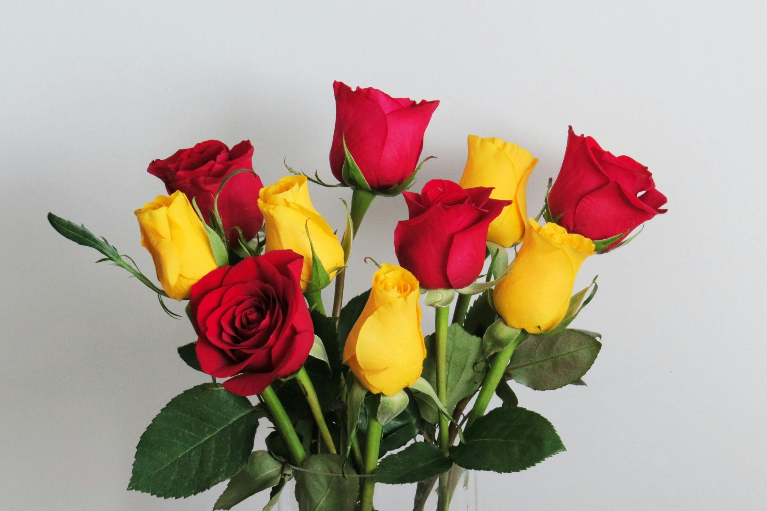 "പൂക്കൾ വാടിപ്പോയേക്കാം, പക്ഷേ നിന്നോടുള്ള എൻ്റെ പ്രണയത്തിൻ്റെ സുഗന്ധം എന്നും നിലനിൽക്കും. ഹാപ്പി റോസ് ഡേ!, "എൻ്റെ ജീവിതത്തെ ഇത്രയും മനോഹരമാക്കിയതിന് നന്ദി. ഈ റോസാപ്പൂവ് എൻ്റെ സ്നേഹത്തിൻ്റെ അടയാളമാണ്. ഹാപ്പി റോസ് ഡേ!", "നമ്മുടെ സൗഹൃദം ഈ റോസാപ്പൂവിനേക്കാൾ സുന്ദരമായി എന്നും നിലനിൽക്കട്ടെ. ഹാപ്പി റോസ് ഡേ ബെസ്റ്റി!