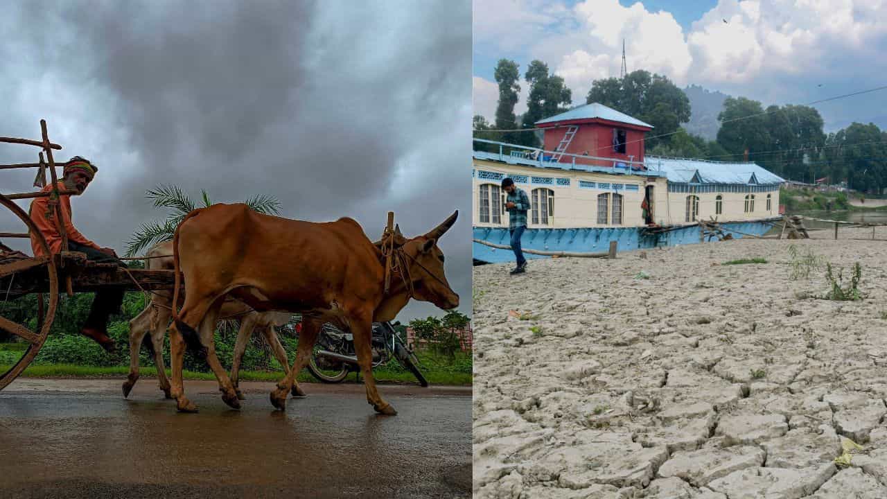 Kerala Weather Update: മഴയെ മറന്നോളൂ... ചൂടിൽ വെന്തുരുകാൻ തയാറെടുക്കാം; വരും ദിവസങ്ങളിലെ കാലാവസ്ഥ
