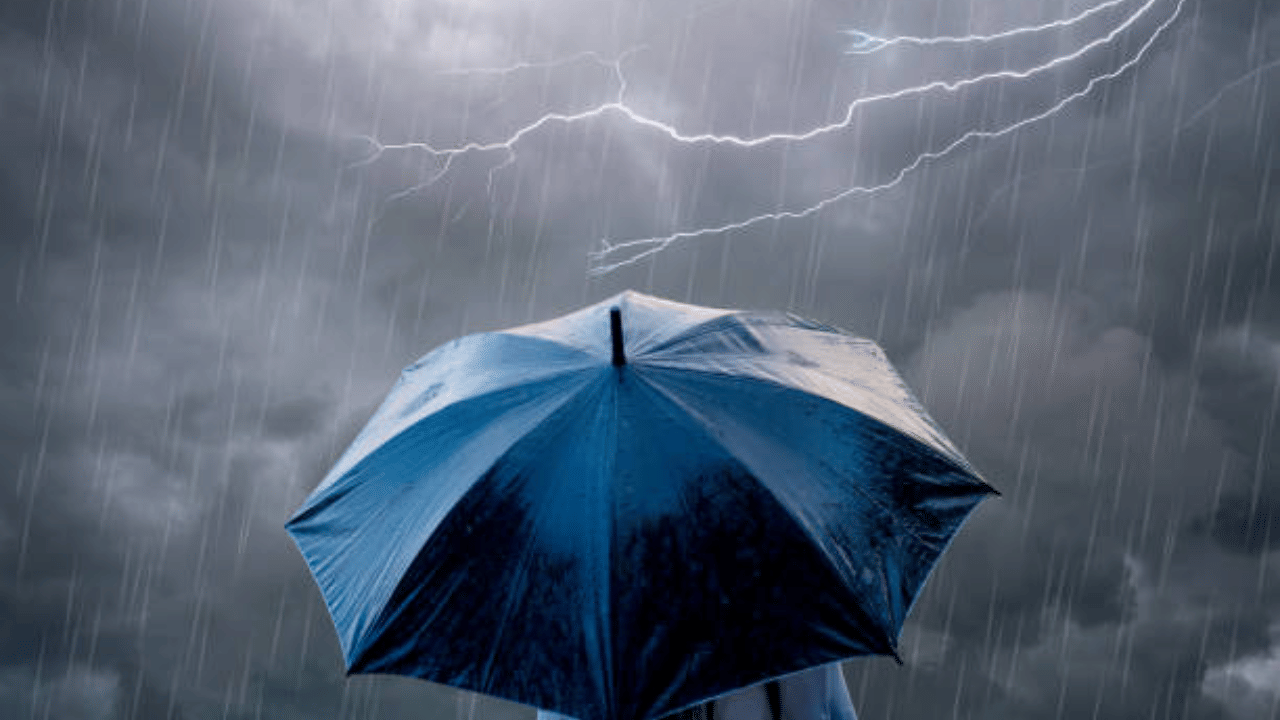 Kerala Weather Update: മാനം കറുത്തു, ഇനി അങ്ങോട്ട് മഴയാണേ...ശ്രദ്ധിക്കേണ്ടത് ഈ ജില്ലക്കാർ, ഇന്നത്തെ കാലാവസ്ഥ