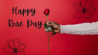 Hair Fall: എന്ത് ചെയ്തിട്ടും മുടിക്കൊഴിച്ചിൽ മാറുന്നില്ലേ? ഈ ഭക്ഷണങ്ങൾ കഴിക്കാതിരുന്നാൽ മതി