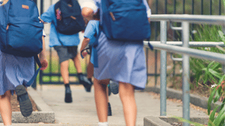 Kerala School Holiday: സ്കൂളിൽ പോകാൻ ഒരുങ്ങിയോ? നിൽക്കൂ…; അവധി പ്രഖ്യാപിച്ച് കളക്ടർ