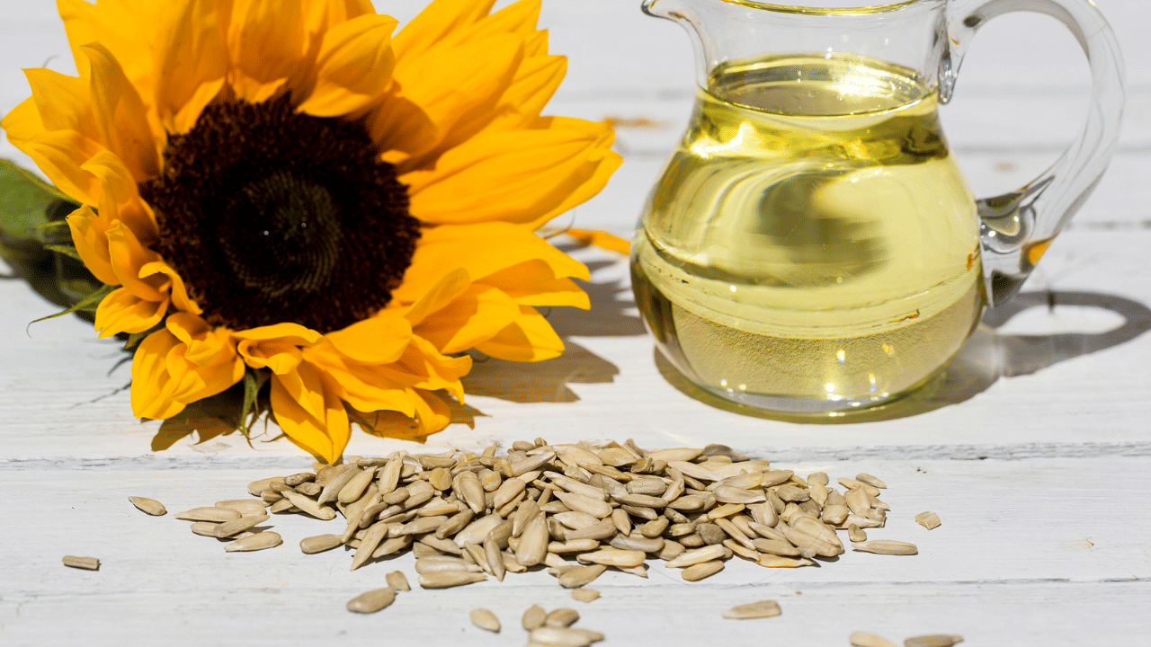 സൂര്യകാന്തി വിത്തുകളിൽ അടങ്ങിയിരിക്കുന്ന ഫൈറ്റോസ്റ്റീറോളുകൾ കൊളസ്ട്രോൾ ആഗിരണം തടയുന്നു. കൂടാതെ ഇതിലെ വിറ്റാമിൻ-ഇ ധമനികൾക്കുണ്ടാകുന്ന തകരാറുകൾ പരിഹരിക്കാൻ സഹായിക്കുന്നു. (Image Credit: Getty Images)
