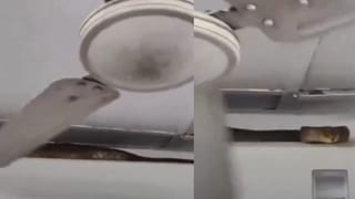 മഹന്ത് സ്വാമി മഹാരാജിന്റെ അനുഗ്രഹം തേടി ബിജെപി ദേശീയ അധ്യക്ഷൻ നിതിൻ നബിൻ; ഗുജറാത്തിലെ അക്ഷർധാം സന്ദർശിച്ചു