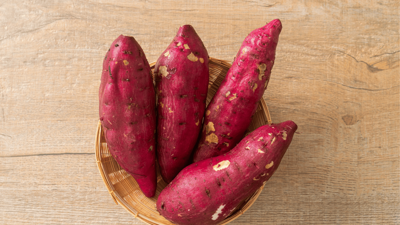 മധുരക്കിഴങ്ങ് കഴിച്ചാൽ വണ്ണം കുറയുമോ എന്ന സംശയം പലർക്കുമുണ്ട്. ശരീരഭാരം കുറയ്ക്കാൻ ആഗ്രഹിക്കുന്നവർക്ക് മികച്ചൊരു ഭക്ഷണമാണ് മധുരക്കിഴങ്ങ് എന്നാണ് ആരോഗ്യവിദഗ്ധർ പറയുന്നത്. നാരുകളാൽ സമ്പന്നവും കൊഴുപ്പ് കുറഞ്ഞതുമായ ഭക്ഷണമാണിത്.