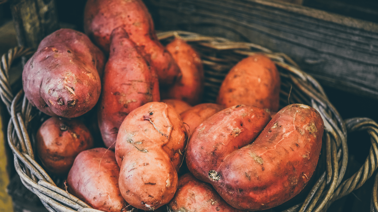 ഒരു മുതിർന്ന വ്യക്തിക്ക് ഒരു ദിവസം 100 മുതൽ 150 ഗ്രാം വരെ (ഒരു ഇടത്തരം വലിപ്പമുള്ള കിഴങ്ങ്) മധുരക്കിഴങ്ങ് കഴിക്കാമെന്നാണ് കണക്ക്. എന്നാൽ ഇതിൽ കൂടുതൽ കഴിക്കുന്നത് കാർബോഹൈഡ്രേറ്റ് വർദ്ധിക്കാൻ ഇടയാക്കും.