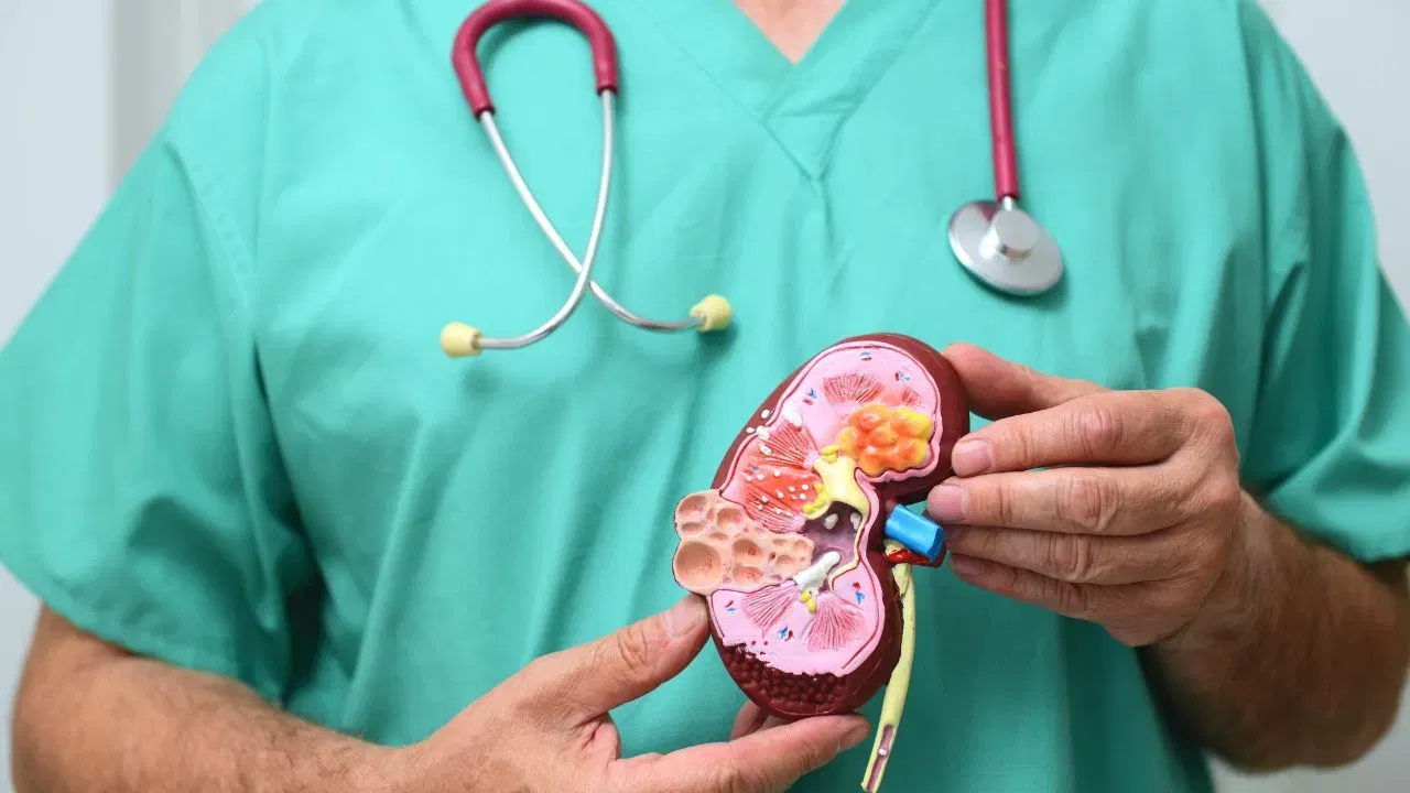 മൂത്രമൊഴിച്ച സ്ഥലത്തിന് ചുറ്റും ഉറുമ്പുകൾ വരുന്നുണ്ടെങ്കിൽ അത് പ്രമേഹത്തിനുള്ള സാധ്യതയെയാണ് കാണിക്കുന്നത്.