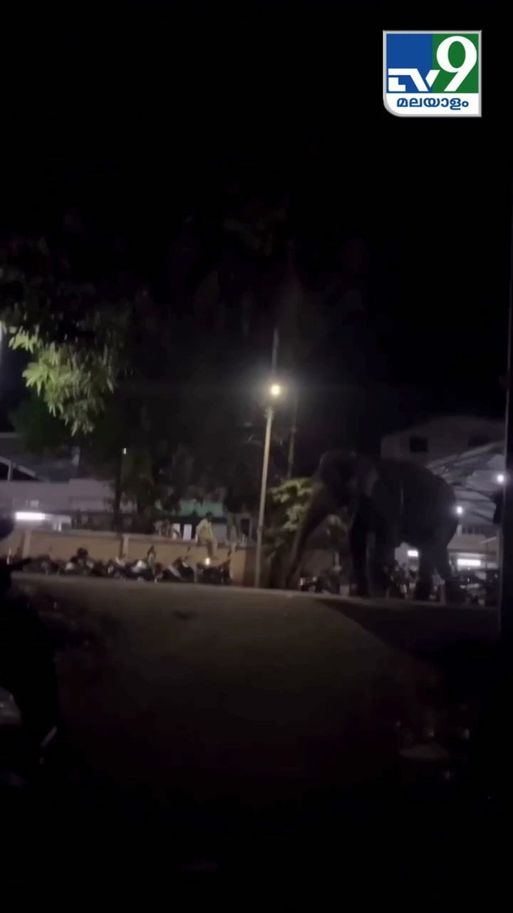 തൃശൂർ ഉത്രാളിക്കാവ് പൂരത്തിനിടെ ആന ഇടഞ്ഞപ്പോൾ