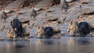 PM Narendra Modi : ദേശീയപാതയിൽ വ്യോമസേന വിമാനത്തിൻ്റെ എമർജെൻസി ലാൻഡിങ്; ചരിത്രം കുറിച്ച് പ്രധാനമന്ത്രി