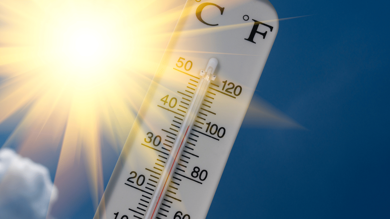 Kerala Weather Update: ശ്രദ്ധിച്ചോണേ.... കൊടും ചൂട് തന്നെ, മഴ എവിടെയെല്ലാം? കാലാവസ്ഥ ഇങ്ങനെ Kerala Weather Update: ശ്രദ്ധിച്ചോണേ.... കൊടും ചൂട് തന്നെ, മഴ എവിടെയെല്ലാം? കാലാവസ്ഥ ഇങ്ങനെ