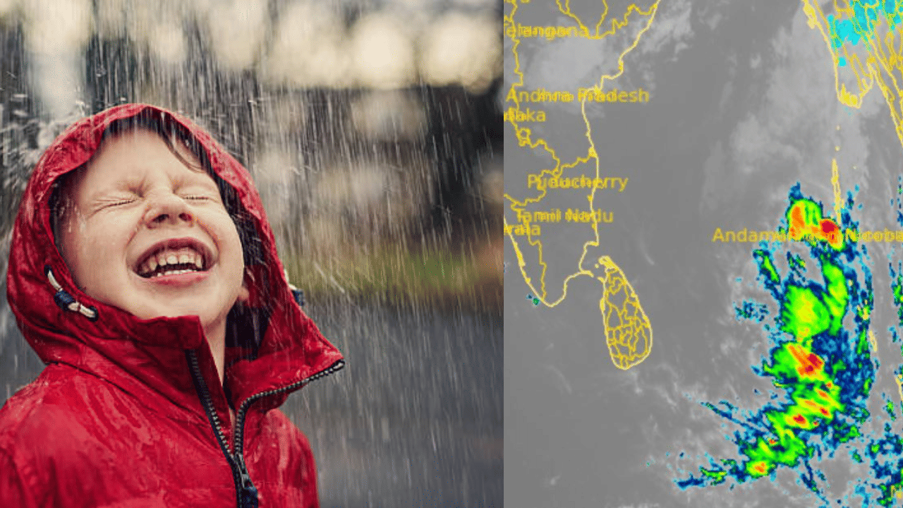 Kerala Weather Update: കുടയെടുത്തോ, മഴയോട് മഴയാണേ... ശ്രദ്ധിക്കേണ്ടത് ഈ ജില്ലക്കാർ, കാലാവസ്ഥ ഇങ്ങനെ Kerala Weather Update: കുടയെടുത്തോ, മഴയോട് മഴയാണേ... ശ്രദ്ധിക്കേണ്ടത് ഈ ജില്ലക്കാർ, കാലാവസ്ഥ ഇങ്ങനെ