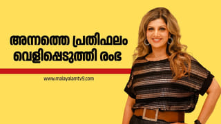 Hair care tips: എല്ലാ ദിവസവും മുടി ഷാംപൂ ചെയ്യാമോ? ശ്രദ്ധിക്കേണ്ട കാര്യങ്ങൾ