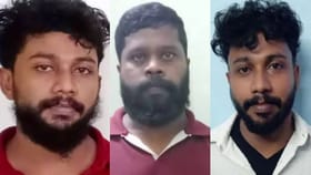 ഗുണ്ട അതുലിന് ഏറ്റവും ഇഷ്ടം ഹല്‍വ; അലുവ പേരിന് പിന്നിലും വലിയ കഥ