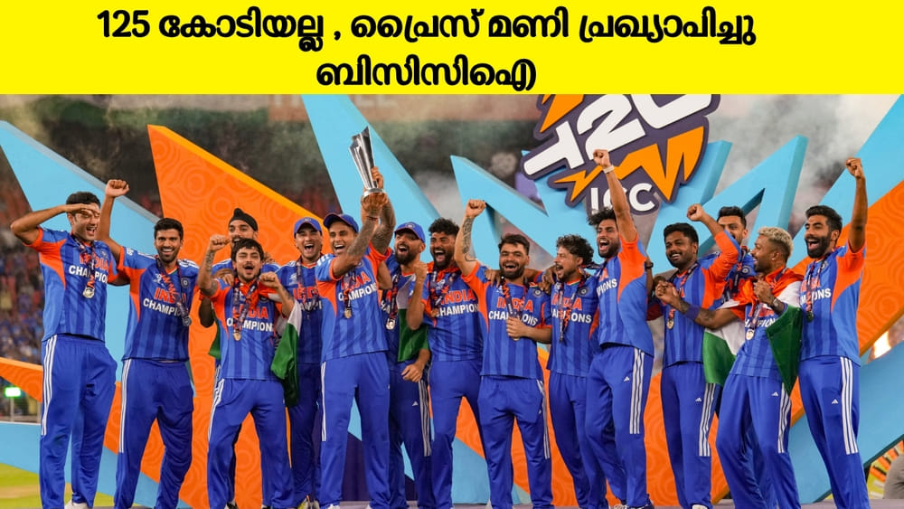 Bcci Prize Money T-20 World Cup: 125-കോടിക്കും മേലെ, ബിസിസിഐയുടെ സമ്മാനം പ്രഖ്യാപിച്ചു