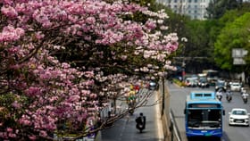 പ്രൊഫഷണലുകള്‍ക്ക് ബെംഗളൂരു മതി! സിലിക്കണ്‍ വാലിയിലെന്തുണ്ട്?