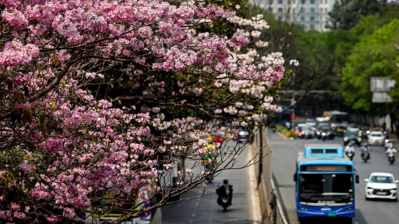 Bengaluru Jobs: പ്രൊഫഷണലുകള്ക്ക് ബെംഗളൂരു മതി! സിലിക്കണ് വാലിയിലെന്തുണ്ട്? Bengaluru Jobs: പ്രൊഫഷണലുകള്ക്ക് ബെംഗളൂരു മതി! സിലിക്കണ് വാലിയിലെന്തുണ്ട്?