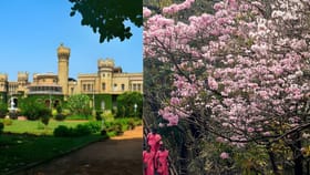 Bengaluru Travel: ബംഗളൂരു ഒരു പകൽ കൊണ്ട് കണ്ടുതീർക്കാം!; യാത്ര തുടങ്ങേണ്ടത് ഇവിടെ നിന്ന്, മിസ്സ് ചെയ്യരുത് ഈ സ്ഥലങ്ങൾ...