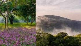 ബെംഗളൂരുവിലാണോ? വേനലവധി ആഘോഷിക്കാൻ ഇതാ ചില സ്പോട്ടുകൾ