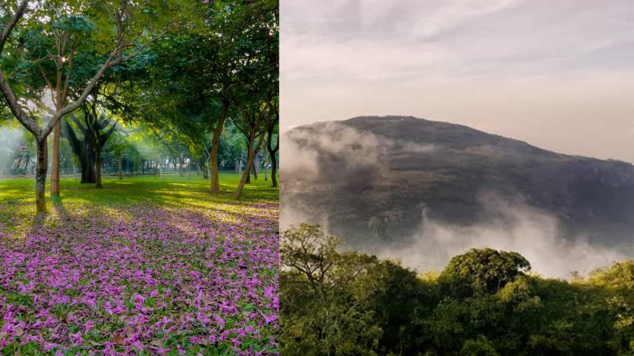 Bengaluru Travel: ബെംഗളൂരുവിലാണോ? വേനലവധി ആഘോഷിക്കാൻ ഇതാ ചില സ്പോട്ടുകൾ