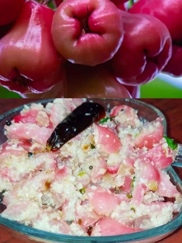 ചോറിനൊപ്പം കൂട്ടാൻ ചാമ്പക്ക ചമ്മന്തി ആയാലോ? ഇന്നാ പിടിച്ചോ റെസിപി