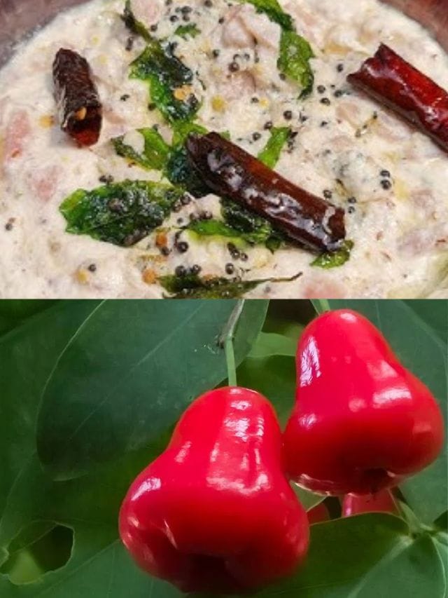 ചാമ്പക്ക കിച്ചടി കഴിച്ചിട്ടുണ്ടോ? സിമ്പിൾ ആണ്