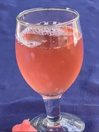 5 മിനിറ്റിൽ ചാമ്പക്കാ വൈൻ, സിമ്പിൾ റെസിപ്പി