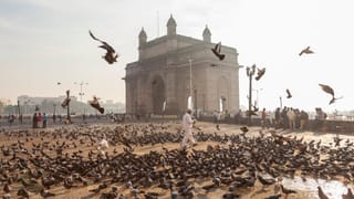 Electricity Bill Saving Tips: ഫ്രിഡ്ജ് ഈ സമയത്ത് ഓഫാക്കിയാൽ കറൻ്റ് ബില്ല് കുറയുമോ അതോ കൂടുമോ? ഇതൊന്ന് അറിഞ്ഞിരിക്കണം