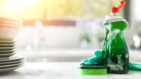 പാത്രം കഴുകുന്ന ലിക്വിഡ് ആരോഗ്യത്തിന് ഹാനികരം? ഒഴിവാക്കാൻ ഇങ്ങനെ