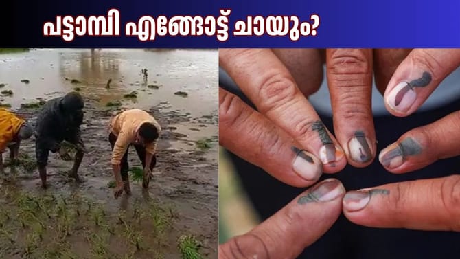 പാലക്കാടിന്റെ നെല്ലറയുടെ ഭരണം ആരുടെ കയ്യിലെത്തും?