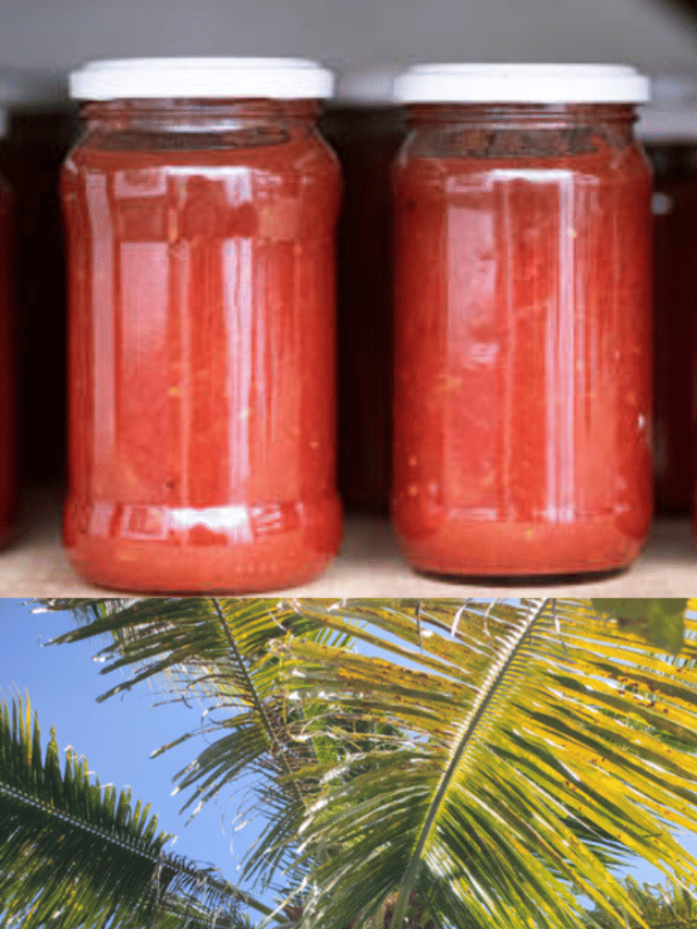 ഈർക്കിലി അച്ചാർ കഴിച്ചിട്ടുണ്ടോ? റെസിപ്പി പിടിച്ചോ