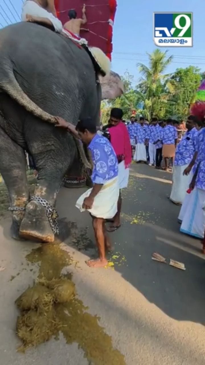 ആനപ്പുറത്ത് കയറേണ്ടത് എങ്ങനെയാണെന്ന് കണ്ടോ?