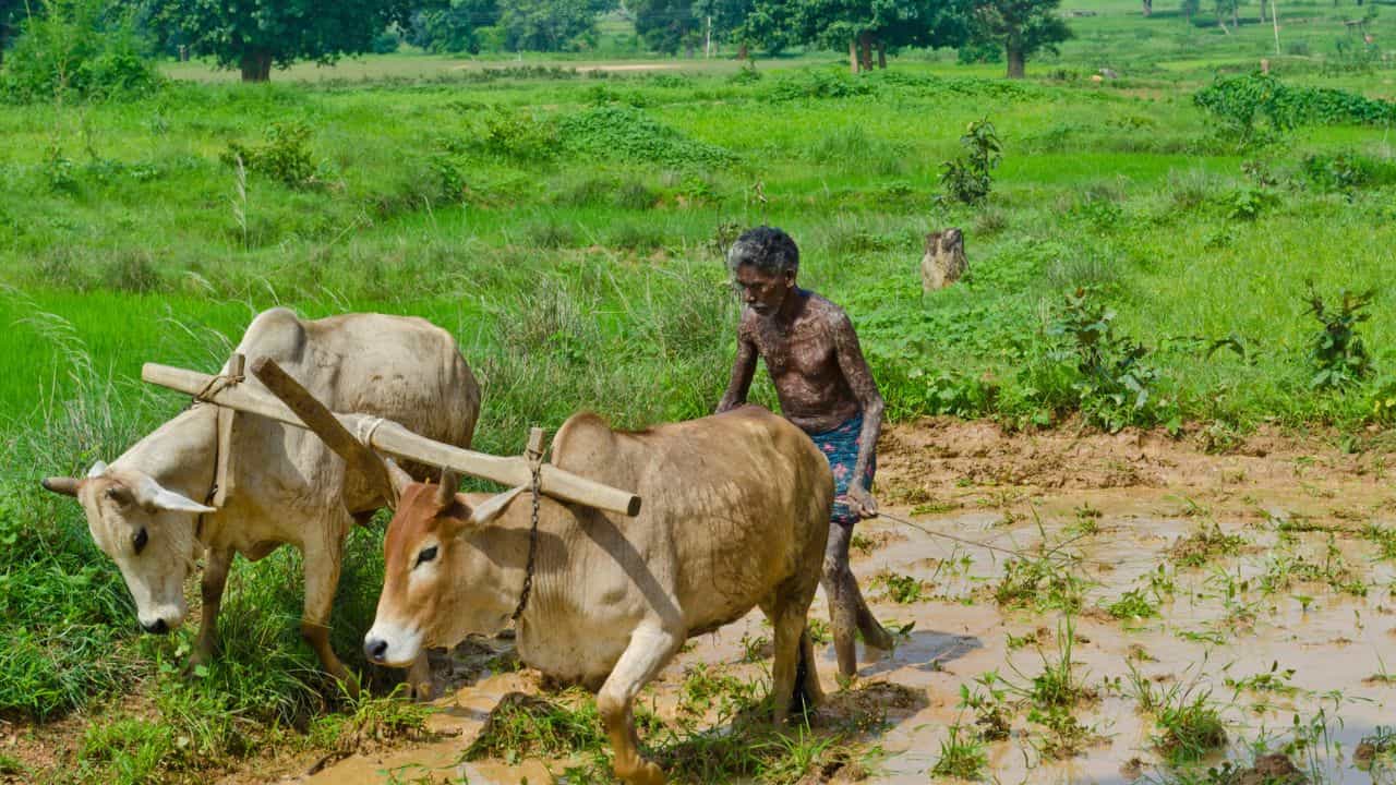 Famers Pension Kerala: കേരളത്തിലെ കര്‍ഷകര്‍ക്ക് മാസം 2,000 രൂപ; എങ്ങനെ അപേക്ഷിക്കാം