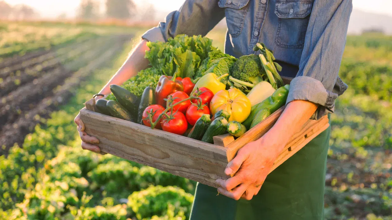 കഞ്ഞിവെള്ളത്തിലെ സ്റ്റാർച്ച് മണ്ണിലെ ഉപകാരികളായ സൂക്ഷ്മജീവികളെ പ്രോത്സാഹിപ്പിക്കുന്നു. ഇത് മണ്ണിലെ ഫലഭൂയിഷ്ഠത വർദ്ധിപ്പിക്കാൻ സഹായിക്കും. കഞ്ഞിവെള്ളം എപ്പോഴും വെള്ളം ചേർത്ത് നേർപ്പിച്ച ശേഷം മാത്രം ചെടികൾക്ക് ഒഴിക്കുക.