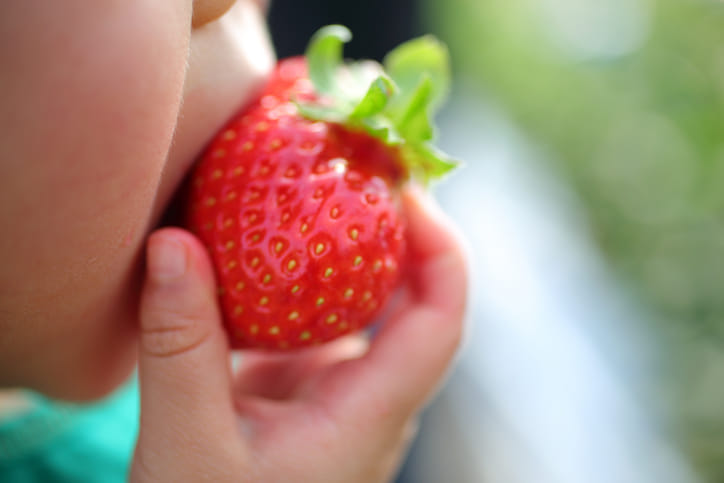 വേനൽക്കാലത്തെ കഠിനമായ ചൂടിൽ പ്രായഭേദമന്യേ ആരോഗ്യം ശ്രദ്ധിക്കേണ്ടത് വളരെ പ്രധാനമാണ്. പ്രത്യേകിച്ച് കുട്ടികളെ. കാരണം ചൂട് കൂടുമ്പോൾ കുട്ടികൾക്ക് എളുപ്പത്തിൽ നിർജ്ജലീകരണം സംഭവിക്കാൻ സാധ്യതയുണ്ട്. വേനലിൽ കുട്ടികളിൽ ഊർജ്ജം നിലനിർത്താനും ശരീരത്തിലെ ജലാംശം നിലനിർത്താനും സഹായിക്കുന്ന മികച്ച പഴങ്ങൾ ഏതെല്ലാമെന്ന് നമുക്ക് നോക്കാം. (Image Credits: Getty Images)