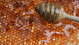 തേൻ കേടാകാതെ ഇരിക്കാൻ ഫ്രിഡ്ജിൽ വയ്ക്കണോ? ശരിയായ രീതി ഇതാണ്