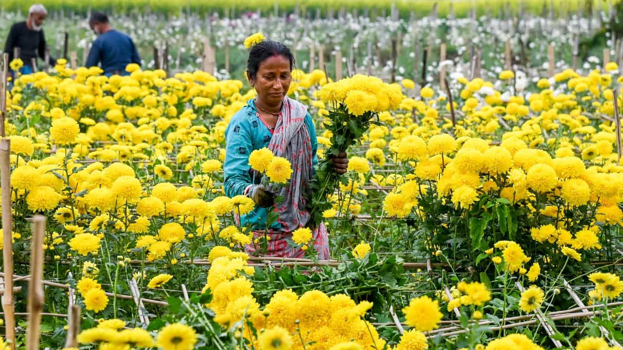 International Womens Day 2026: ആഘോഷിക്കാം, ആഹ്ളാദിക്കാം; ഇന്ന് അന്താരാഷ്ട്ര വനിതാ ദിനം