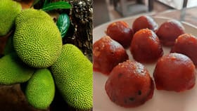 Jackfruit Recipe: ചക്കകൊണ്ട് ഒരു ​ഗരവോടോ തയ്യാറാക്കിയാലോ, രുചിച്ചു നോക്കൂ ഈ കൊങ്ങിണി വിഭവം...
