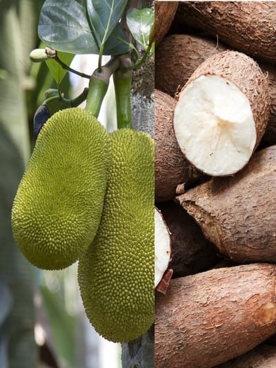 ചക്കയാണോ കപ്പയാണോ ആരോഗ്യത്തിന് നല്ലത്?