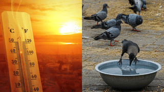 Alappuzha Bar Dispute: ബാറിലെ തർക്കം കൊലപാതകത്തിലേക്ക്; യുവാവിനെ ഓടുന്ന ബൈക്കിൽ നിന്ന് വലിച്ച് നിലത്തിട്ട് കൊന്നു