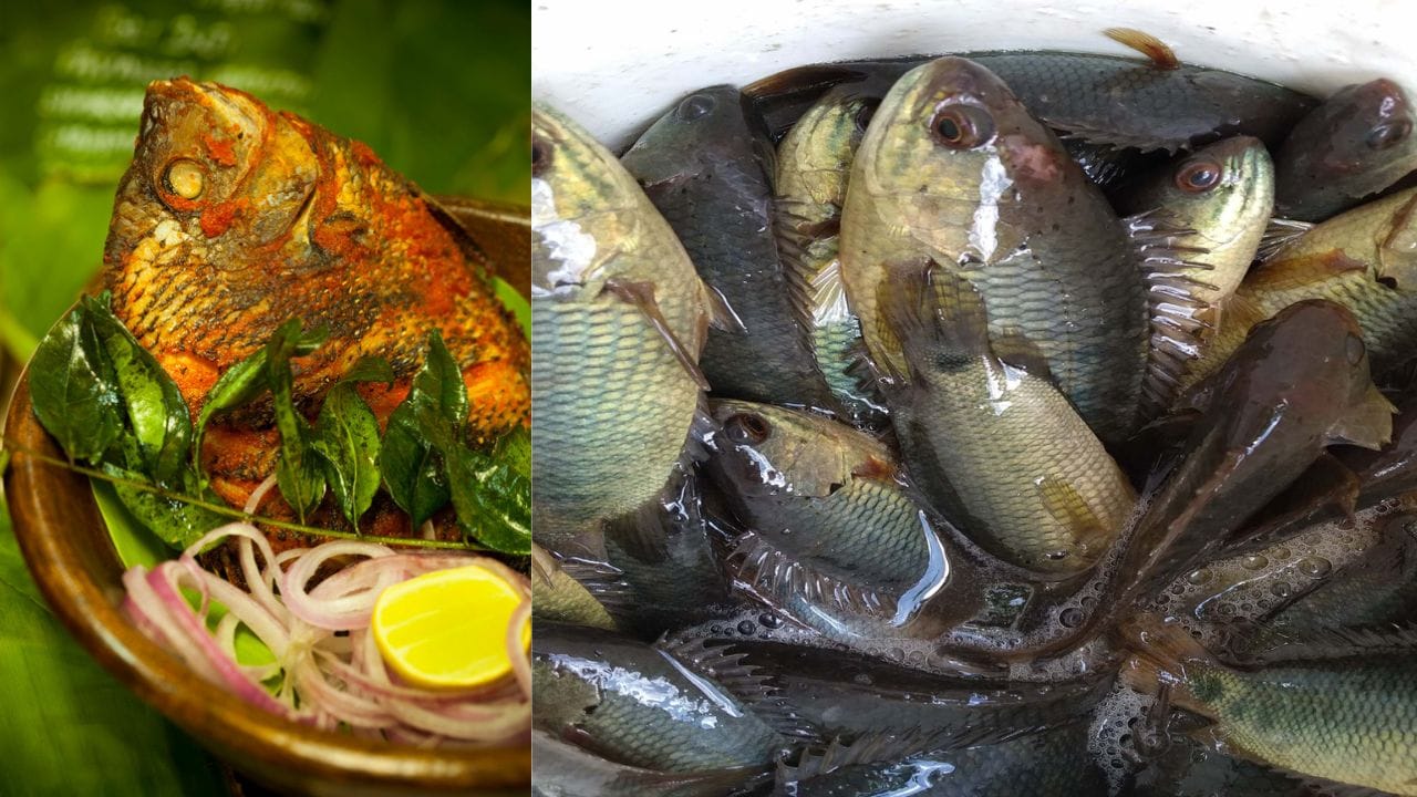 ചട്ടിയിൽ വെളിച്ചെണ്ണ ഒഴിച്ച് കടുക് പൊട്ടിച്ച ശേഷം ഉള്ളി, ഇഞ്ചി, വെളുത്തുള്ളി, പച്ചമുളക് എന്നിവ വഴറ്റുക. ഇതിലേക്ക് അരപ്പും ആവശ്യത്തിന് വെള്ളവും കുടംപുളിയും ചേർത്ത് തിളപ്പിക്കുക. ഗ്രേവി തിളച്ചു വരുമ്പോൾ മീൻ കഷ്ണങ്ങൾ ഇട്ട് ചെറിയ തീയിൽ എണ്ണ തെളിയുന്നത് വരെ വറ്റിച്ചെടുത്താൽ സ്വാദിഷ്ടമായ കരിമീൻ കറി തയ്യാർ